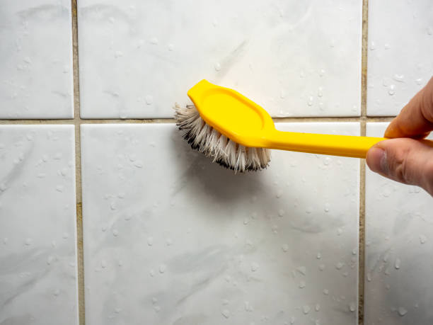 Best Mold Damage Repair  in Woodmont, CT