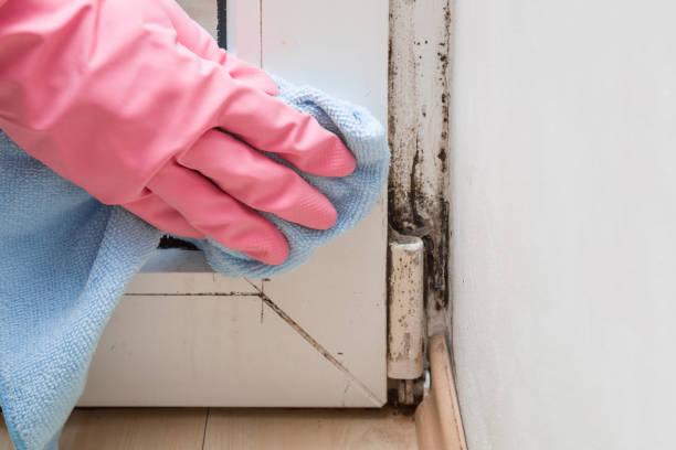 Best Mold Testing  in Woodmont, CT